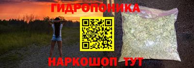 стаф Бузулук