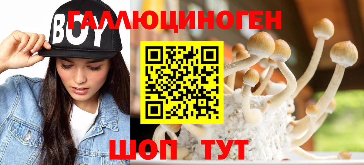 дарнет шоп  Галлюциногенные грибы мухоморы  Вход с VPN  Чита 
